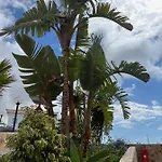 דירה Aloha
