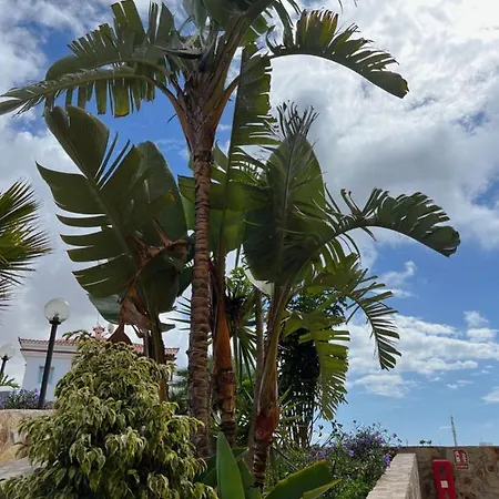 Apartment Aloha